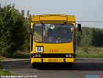 8619.jpg