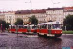9813.jpg